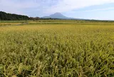 植田正治写真美術館