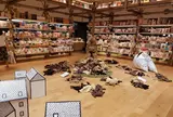 銀座 蔦屋書店