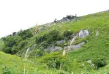 平尾台