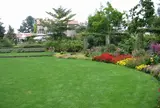 蓼科高原バラクライングリッシュガーデン
