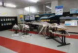 桂浜水族館