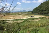 馬堀駅