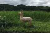 はにわロード