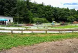 那須バギーパーク