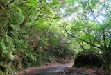 西部林道