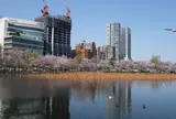 上野公園