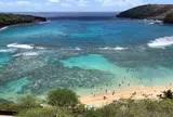ハナウマ湾