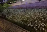 DongDaemun Design Plaza (동대문디자인플라자 (DDP))