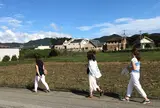忍野八海