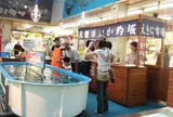 函館朝市えきに市場 活いか釣り堀