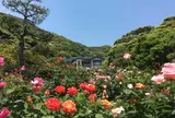 鎌倉文学館