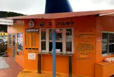 七ツ釜遊覧船イカ丸