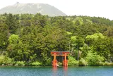 箱根神社 平和の鳥居
