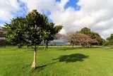 カピオラニ公園
