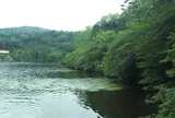 白駒池