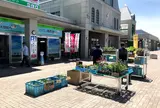 道の駅 メルヘンの丘めまんべつ