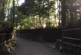 嵯峨野 竹林の道