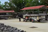 新田観光