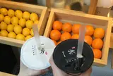 一芳 台灣水果茶 浅草店
