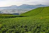 大観峰