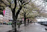 隅田公園