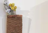 世界のかご カゴアミドリ