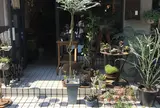 植物と古道具 plan／plants and antiques