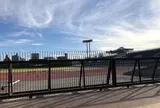 ヤンマーフィールド長居