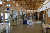 種差海岸