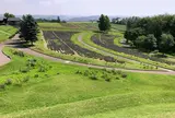 北西の丘 展望公園
