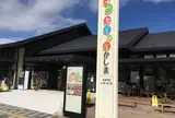 セデッテかしま