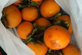 手作りパン ナトリ