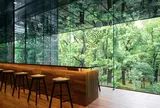 CONNEL COFFEE
