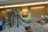 MieMu 三重県総合博物館