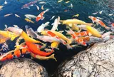 りんりんパーク