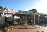 伊豆海洋公園