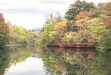 雲場池