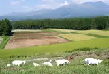 月廻り公園