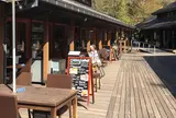 ハルニレテラス