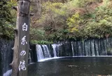 白糸の滝