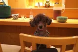三崎館支店 香花