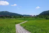 箱根湿生花園