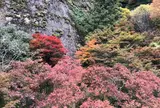 国民宿舎 古岩屋荘