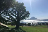 番所鼻自然公園