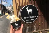 cervo bianco