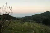 大山千枚田