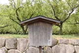 亀山城