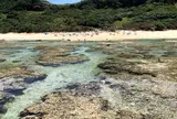 吉野海岸