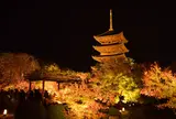 東寺（教王護国寺）