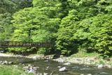 紅の吊橋